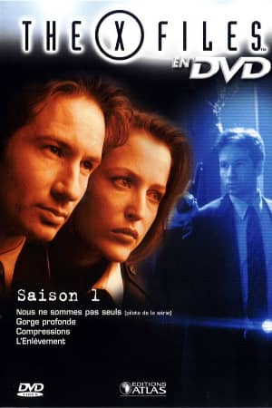 Секретные материалы 1 сезон