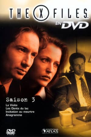 Секретные материалы 3 сезон